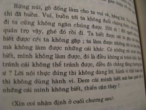 Vietnamese translated literature book B.jpg