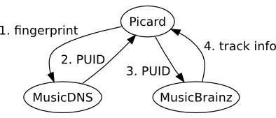 File:picard-puids.png