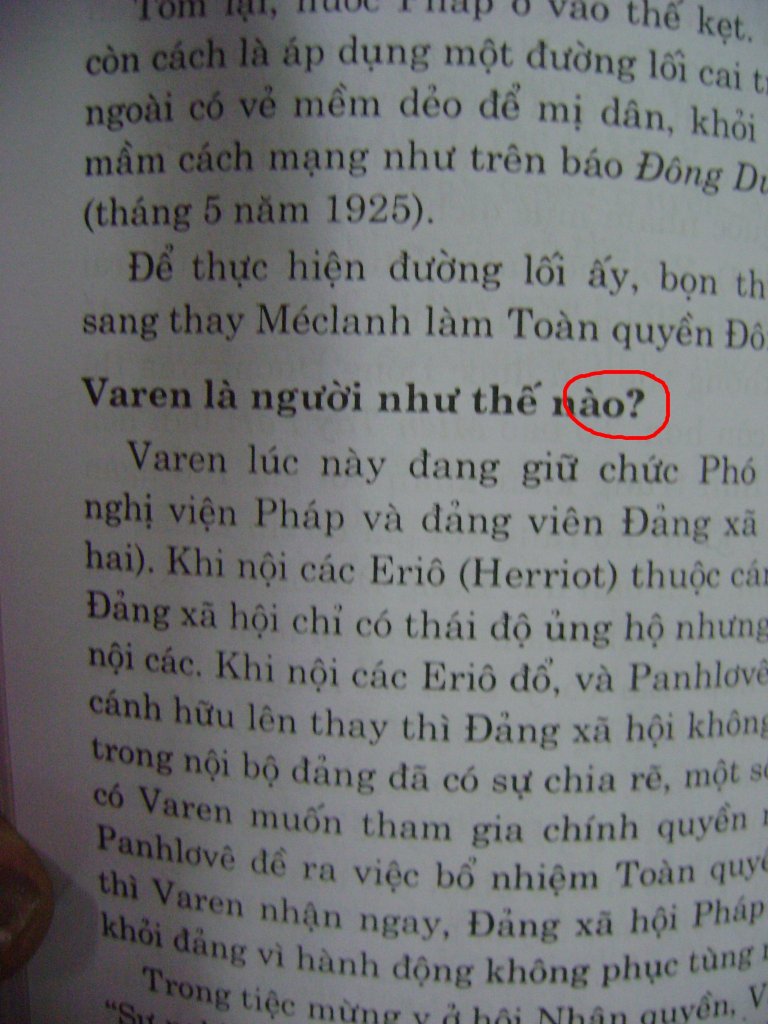 Vietnamese in Print F2.jpg