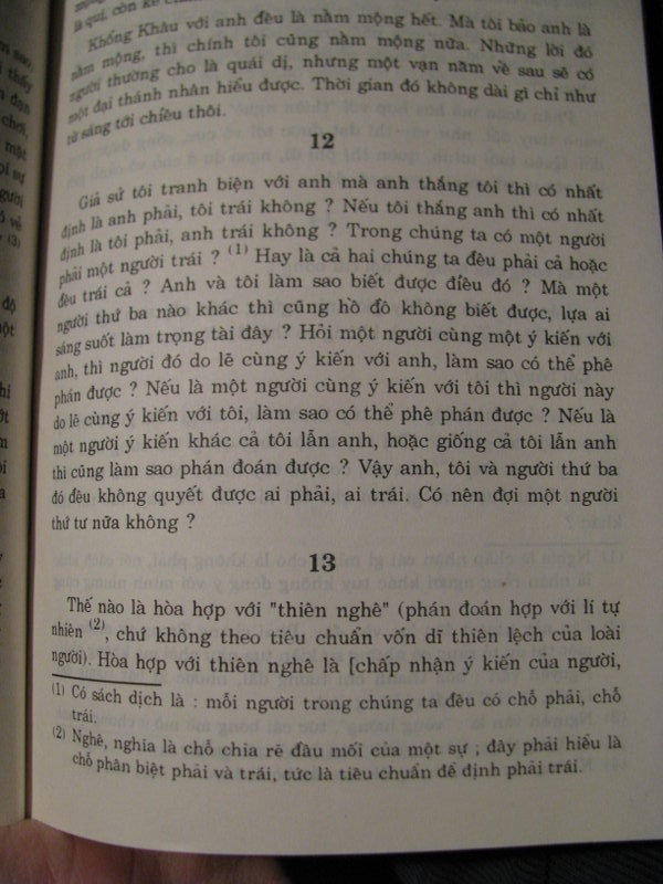 Vietnamese translated literature book C.jpg