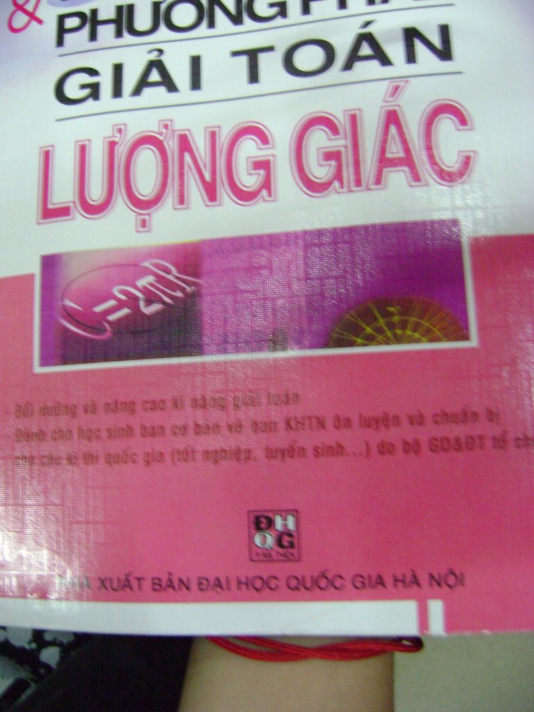 Vietnamese in Print C1.jpg